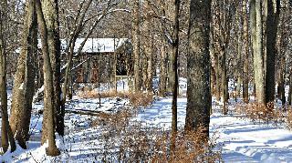 Covered Bridge Winter